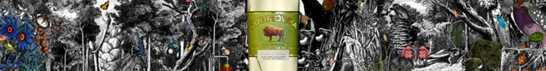 'Move Your Body' by Öwnboss & Sevek in Zubrowka Wodka Ad Campaign